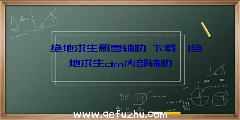 「绝地求生飘雪辅助